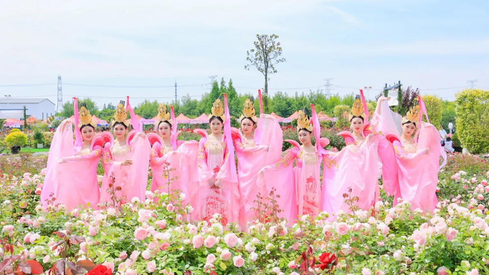 青浦區(qū)首屆夏陽玫瑰文化旅游節(jié)現場活動.jpg