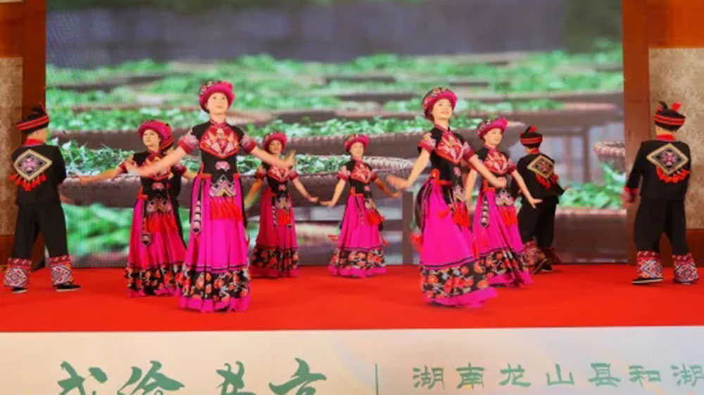 湖南省龍山縣和湖北省來鳳縣文化旅游協(xié)作推介大會(huì)現(xiàn)場.jpg