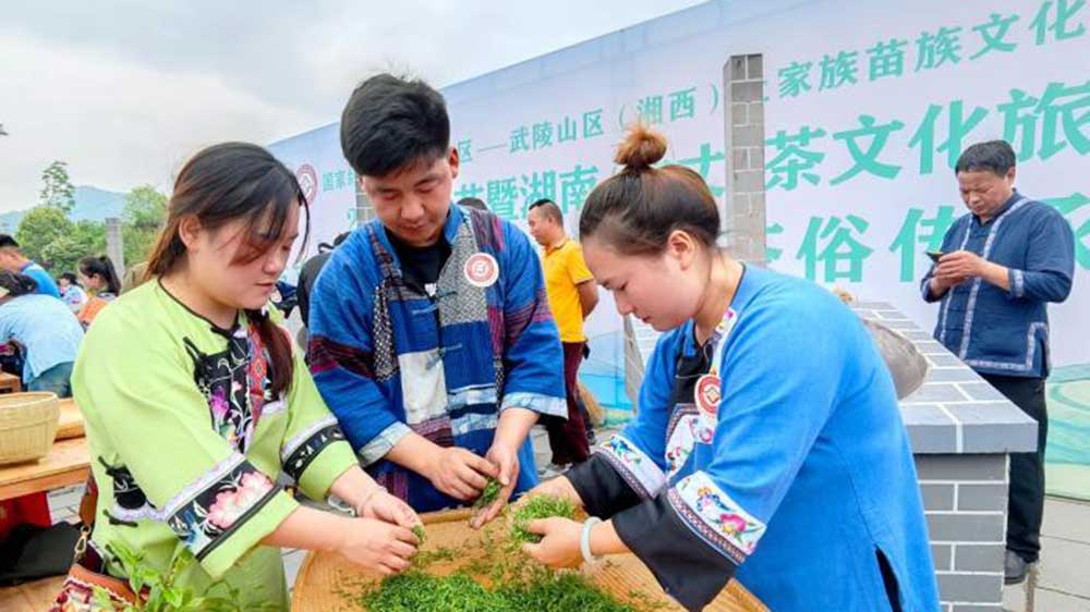 2025茶祖節(jié)暨湖南(古丈)茶文化旅游節(jié)現(xiàn)場(chǎng).jpg